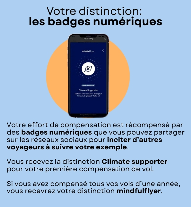 Les badges numériques : une technique de greenwashing  parmi d'autres.